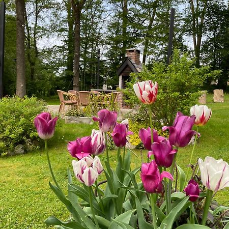 La Villa Emilie Durbuy Eksteriør billede
