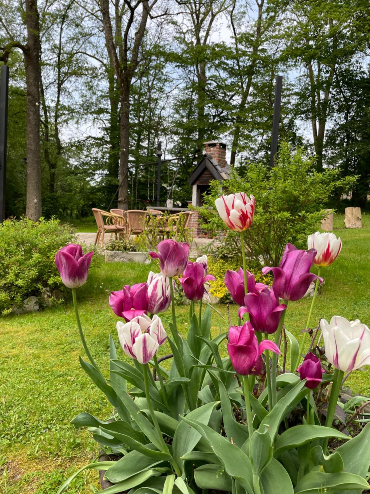 La Villa Emilie Durbuy Eksteriør billede